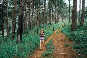 BIB: 
                            <button type="button" onclick="openModal(25660161)" class="btn btn-primary btn-sm float-right btn-popup" data-toggle="modal" data-target=".modal-high-quality">
                        <i class="fas fa-shopping-cart"></i> Add to Cart
                    </button>
                                            <button type="button" onclick="isThisMe(25660161, true)" class="btn btn-success btn-sm float-right btn-popup btn-isme hidden" data-toggle="tooltip" data-placement="bottom" title="นี่คือรูปของคุณใช่ไหม คลิกที่นี่เพื่อเอาเข้าอัลบั้ม">
                        <i class="fas fa-plus"></i> Add to album
                    </button>
                    <button type="button" onclick="isThisMe(25660161, false)" class="btn btn-warning btn-sm float-right btn-popup btn-isnotme hidden">
                        <i class="fas fa-ban"></i> Remove from album
                    </button>